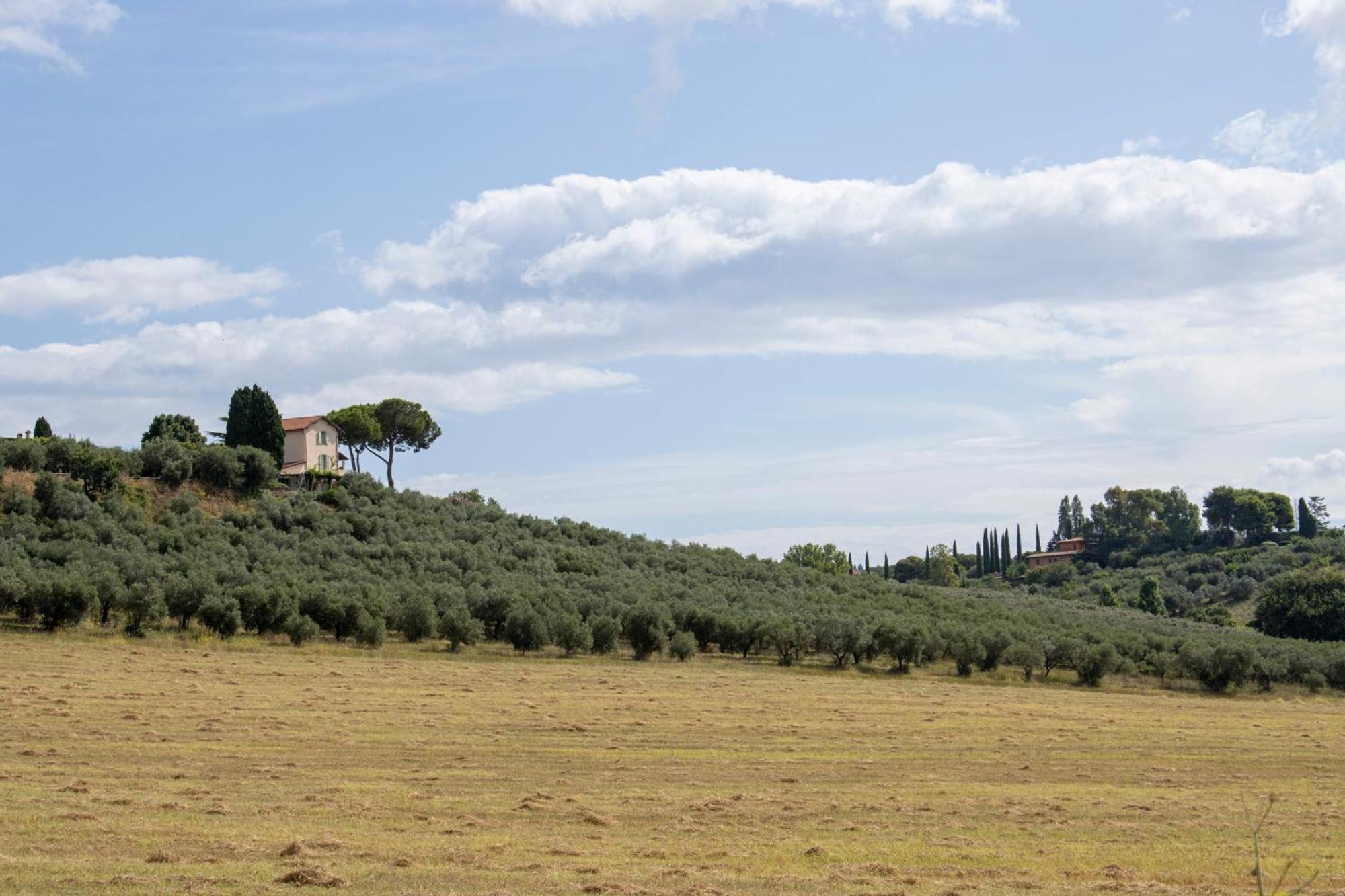Vigna Luisa Resort - Near Rome Genzano di Roma Exterior foto